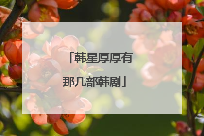 韩星厚厚有那几部韩剧