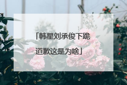 韩星刘承俊下跪道歉这是为啥