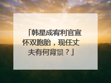 韩星成宥利官宣怀双胞胎,现任丈夫有何背景?