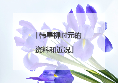 韩星柳时元的资料和近况