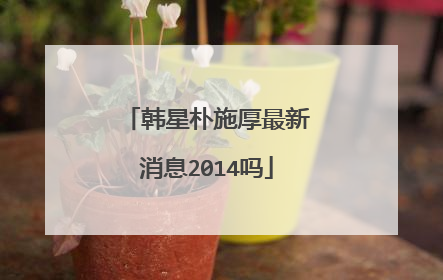 韩星朴施厚最新消息2014吗