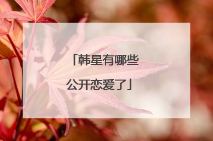 韩星有哪些公开恋爱了