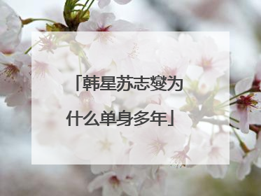 韩星苏志燮为什么单身多年