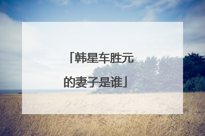 韩星车胜元的妻子是谁