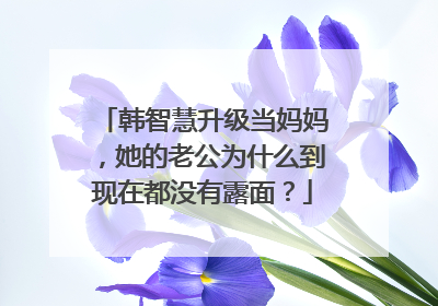 韩智慧升级当妈妈，她的老公为什么到现在都没有露面？