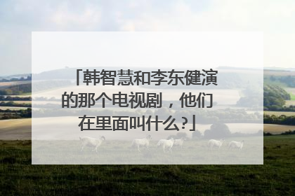 韩智慧和李东健演的那个电视剧，他们在里面叫什么?