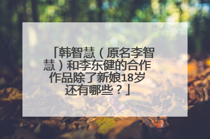 韩智慧（原名李智慧）和李东健的合作作品除了新娘18岁还有哪些？
