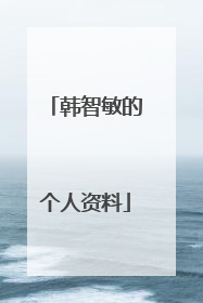 韩智敏的个人资料