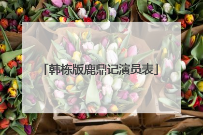 韩栋版鹿鼎记演员表