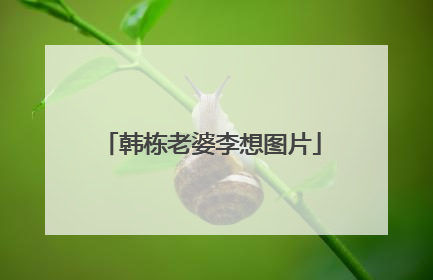 韩栋老婆李想图片