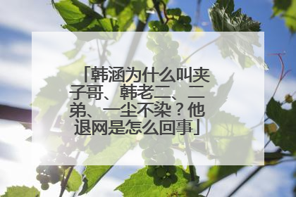 韩涵为什么叫夹子哥、韩老二、二弟、一尘不染？他退网是怎么回事