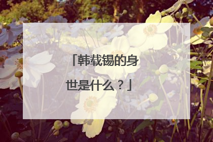 韩载锡的身世是什么？