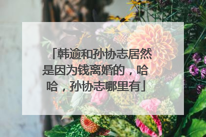 韩逾和孙协志居然是因为钱离婚的，哈哈，孙协志哪里有