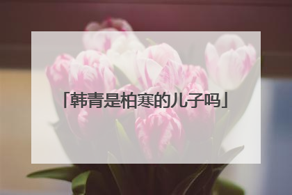 韩青是柏寒的儿子吗