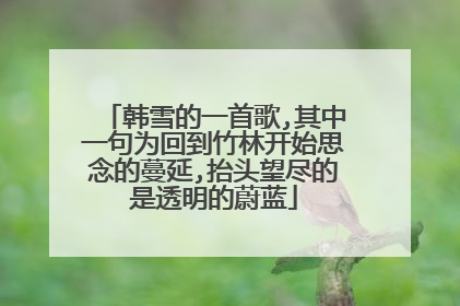韩雪的一首歌,其中一句为回到竹林开始思念的蔓延,抬头望尽的是透明的蔚蓝