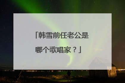 韩雪前任老公是哪个歌唱家？
