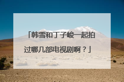 韩雪和丁子峻一起拍过哪几部电视剧啊？