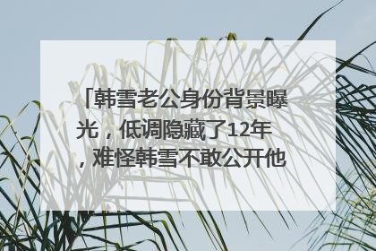 韩雪老公身份背景曝光,低调隐藏了12年,难怪韩雪不敢公开他,你怎么看?