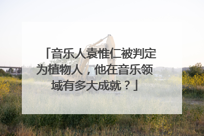 音乐人袁惟仁被判定为植物人,他在音乐领域有多大成就?