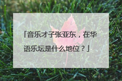 音乐才子张亚东,在华语乐坛是什么地位?