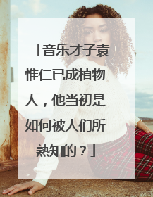 音乐才子袁惟仁已成植物人，他当初是如何被人们所熟知的？