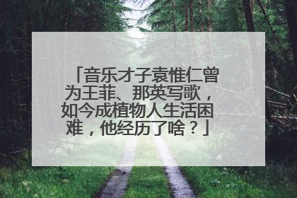 音乐才子袁惟仁曾为王菲、那英写歌，如今成植物人生活困难，他经历了啥？
