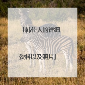 韩佳人的详细资料以及照片
