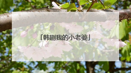 韩剧我的小老婆