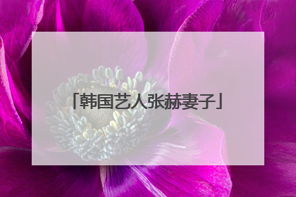 韩国艺人张赫妻子