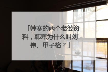 韩寒的两个老婆资料，韩寒为什么叫刘伟、甲子格？