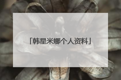韩星米娜个人资料