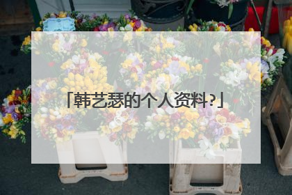 韩艺瑟的个人资料?