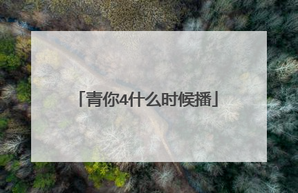 青你4什么时候播