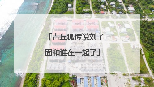 青丘狐传说刘子固和谁在一起了