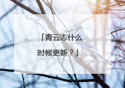 青云志什么时候更新?