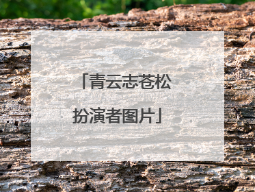 青云志苍松扮演者图片
