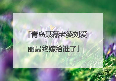 青岛聂磊老婆刘爱丽最终嫁给谁了