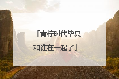 青柠时代毕夏和谁在一起了