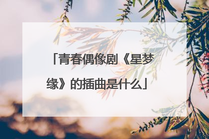青春偶像剧《星梦缘》的插曲是什么