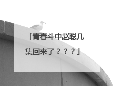 青春斗中赵聪几集回来了？？？