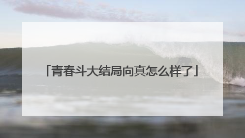 青春斗大结局向真怎么样了