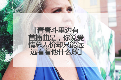 青春斗里边有一首插曲是,你说爱情总无价却只能远远看着他什么歌