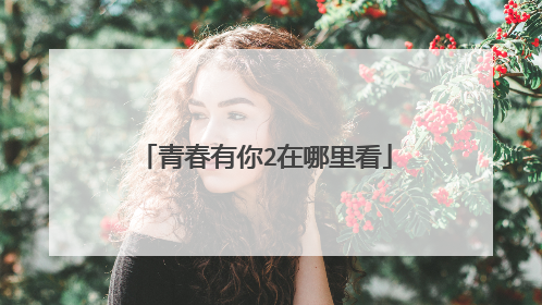 青春有你2在哪里看