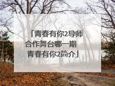 青春有你2导师合作舞台哪一期 青春有你2简介