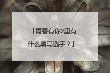 青春有你2里有什么黑马选手?