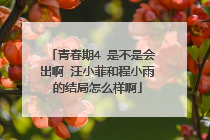 青春期4 是不是会出啊 汪小菲和程小雨的结局怎么样啊