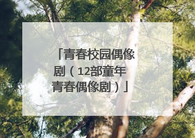青春校园偶像剧(12部童年青春偶像剧)
