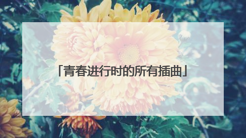 青春进行时的所有插曲