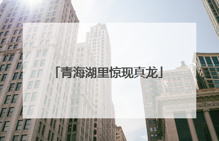 青海湖里惊现真龙