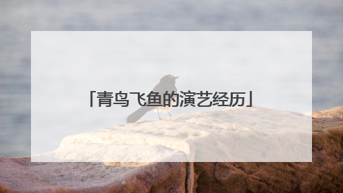 青鸟飞鱼的演艺经历